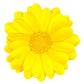 Daisy Shaped Round Place mat Set of 6 pieces - Yellow