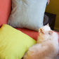 Pastel Cushion Cover - Yellow