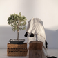 Buhur Cotton Throw - Ecru & Black